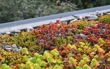 the cost of Askerton Hill green roof installation